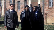 10 years after 'The Wire,' cast members reflect on their careers after ...