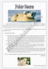 Polar Bears -Nice reading comprehension - ESL worksheet by Jessisun