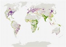 Look to the Land: Visualizing Change in Agriculture - Edge Effects