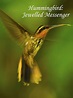 Watch Hummingbirds - Jewelled Messengers | Prime Video