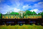 Las 5 Mejores Atracciones de Animal Kingdom en Orlando
