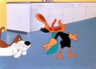 Daffy Duck Hunt (1949) - The Internet Animation Database
