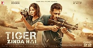 Tiger Zinda Hai hindi Movie - Overview