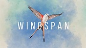 Review: Wingspan - NWTV