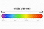 Spectrum wavelength. Visible | Education Illustrations ~ Creative Market