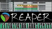 Reaper -- The Most Recommended* DAW - YouTube