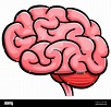 Lista 90+ Foto Imagenes Del Cerebro Y Sus Partes Para Imprimir El último