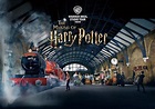 Hogwarts School of Witchcraft and Wizardry 'Great Hall' first public ...