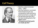 PPT - Cell Theory PowerPoint Presentation, free download - ID:2937710