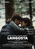 Langosta (The Lobster) - Cineuropa