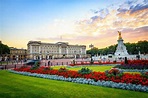 Palacio de Buckingham y castillo de Windsor: tour de 1 día | GetYourGuide