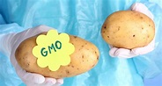 New genetically engineered potatoes approved by USDA • Earth.com