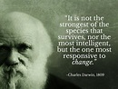 Happy Darwin Day. Will We Heed His Time-Tested Wisdom?