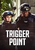 Série Trigger Point: Synopsis, Opinions et plus – FiebreSeries French