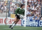 Ubaldo Fillol in action for Argentina during the FIFA World Cup match ...