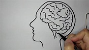 Cómo dibujar el cerebro/How to draw the brain - YouTube