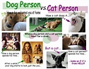 Dog Person vs. Cat Person | Visual.ly