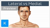 What's the Difference Between Lateral and Medial? (preview) - Human ...