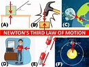 Newton's 3 Laws of Motion Explained - Owlcation