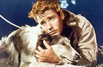 Son of Lassie | George Eastman Museum