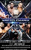 WrestleMania 23 (TV Special 2007) - IMDb