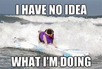 The funniest surfing memes of all time