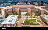 DGSOM, David Geffen School of Medicine, UCLA Campus, University of Los ...