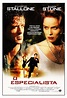 Filme: O Especialista (1994) - Stallone - Sharon Stone - R$ 10,90 em ...