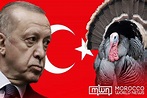 Türkiye: Rebranding of Turkey, Avoiding Confusion with Thanksgiving Bird