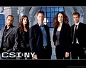 The 30 Best "CSI: NY" Episodes Ever - ReelRundown