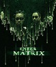 Enter the Matrix (2003) promotional art - MobyGames