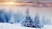 Snow Trees Wallpapers - Top Free Snow Trees Backgrounds - WallpaperAccess