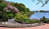 Fujieda, Japan 2023: Best Places to Visit - Tripadvisor