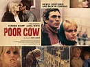 Poor Cow: DVD Review and Giveaway | Addicted to Media