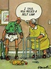 . Too Funny... … | Old age humor, Senior humor, Getting older humor