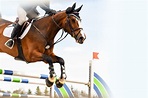 3 Simple Steps to Help Your Horse Jump Higher - Horse Rookie