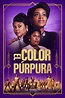 El color púrpura - Datos, trailer, plataformas, protagonistas
