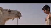 THE CAMEL BOY by Chabname Zariâb @ Brooklyn Film Festival