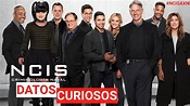 Ncis Criminologia Naval Temporada 3 Audio Latino - cadillac sixty specialag