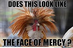 Does this look like the face of mercy?? | Face, Mercy, Meme center