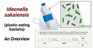 Ideonella sakaiensis (plastic-eating bacteria)- An Overview (2022)