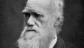 1809: Nace Charles Darwin, relevante científico y teórico de la ...