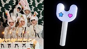 NewJeans reveal adorable lightstick design and fandom name on ...