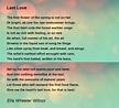 Last Love - Last Love Poem by Ella Wheeler Wilcox