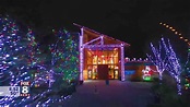 Step into the holiday spirit with Wild Lights & amazing animals at the ...