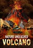 Watch Nature Unleashed: Volcano (2005) - Free Movies | Tubi