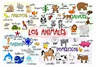Los animales | Spanish animals, Animal vocabulary, Animals poster