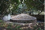 嚴天池墓 - 維基百科，自由的百科全書