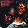 Record Retrospective: Mobb Deep - The Infamous - Hip Hop Golden Age Hip ...