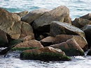 rocks in the sea Free Photo Download | FreeImages